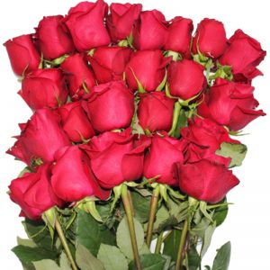 24 Red Roses Bunch BR2A