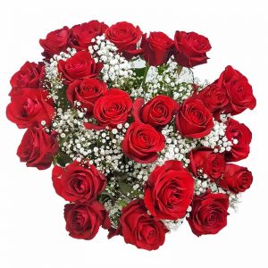 24 Red Roses BR2