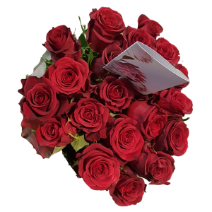 Red Roses Bunch